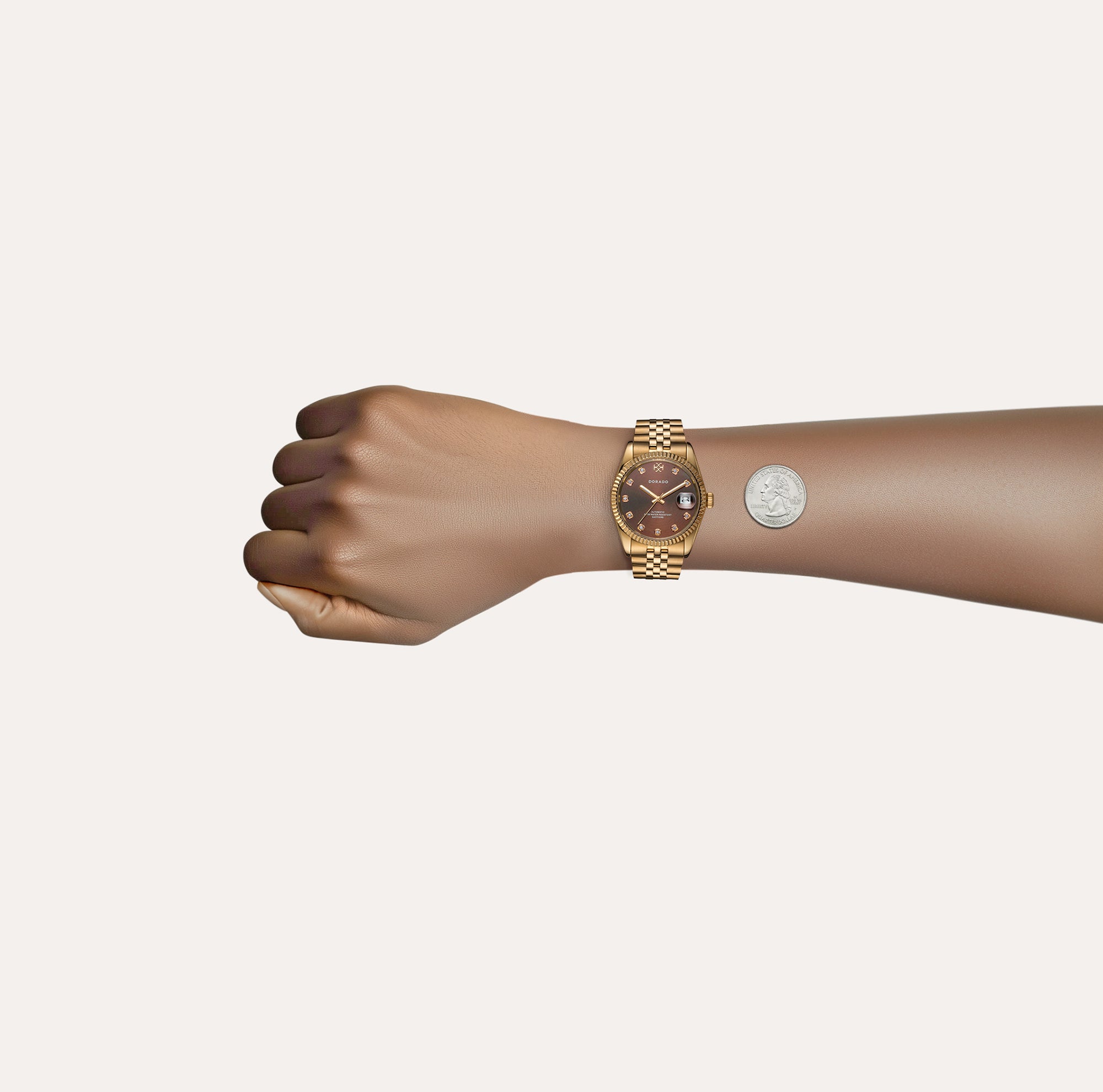 DORADO Chocolate Two-Tone Classic Watch