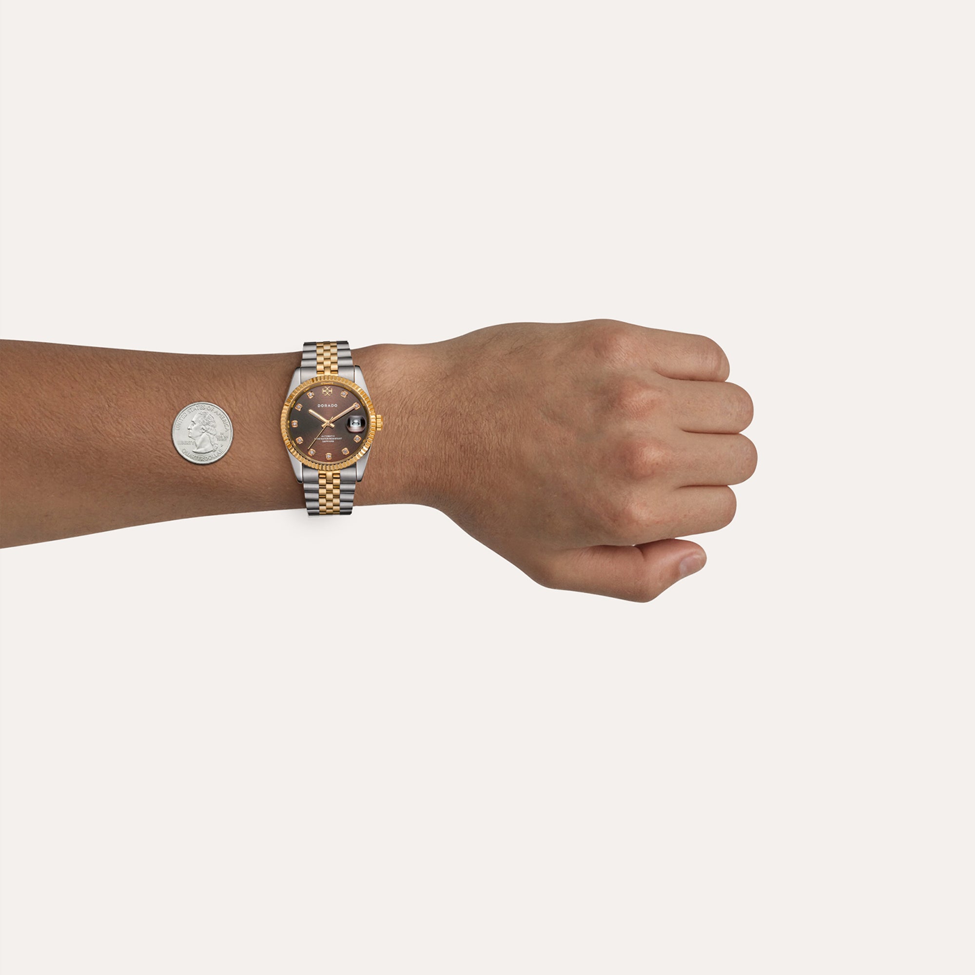 DORADO Chocolate Two-Tone Classic Watch